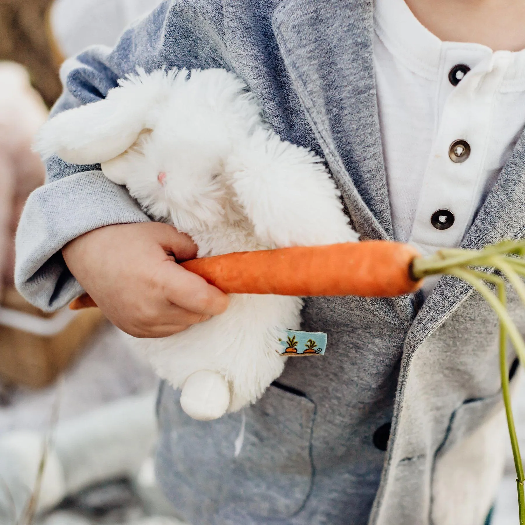 Wee Bunny - Ittybit